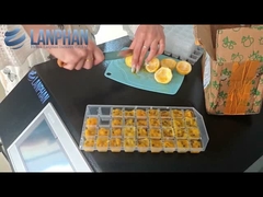 Home Vacuum Freeze Dryer Fruit Lyophilizer Equipment