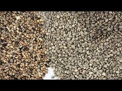 Rice Color Sorter Machine Coffee Beans Rice Garin Color Wheat  Automatic Sorting Machine