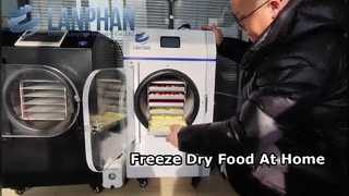 Freeze Dry Fruit At Home