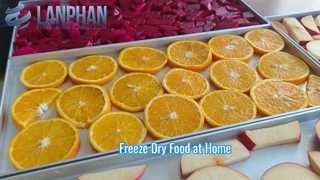 Best Home Freeze Dryer Machine for Long Term Food Storage