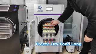 Home Freeze Dryer Food Preservation
