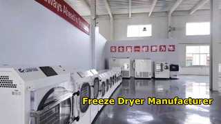 Professional Freeze Dryer Factory Solutions