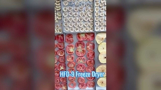 Commercial Freeze Dryer 12kg Capacity for Food Preservation