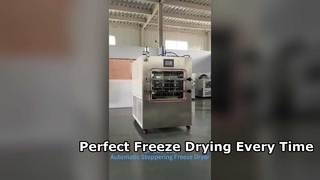 Industrial Freeze Dryer 15kg Batch Capacity Solution