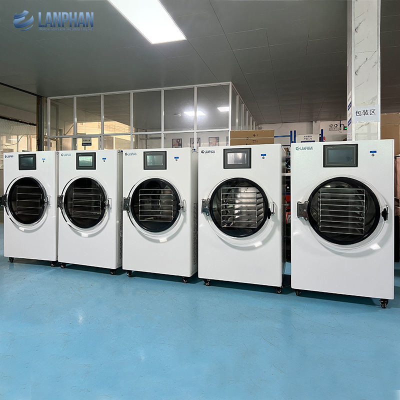 10kg 15kg Freeze Dryer Food Drying Lyophilizer Machine For Home With Oil Free