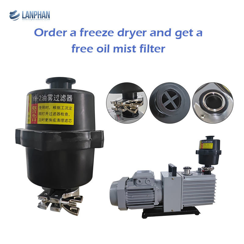 8 Trays Home Freeze Dryer Lyophilizer Machine Fd 10kg 15kg 20kg For Food Fruit