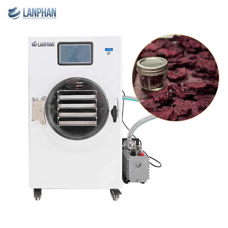 Lanphan Home Strawberry White Vacuum Freeze drying Machine With Vacuum Pump Or No Oil Pump