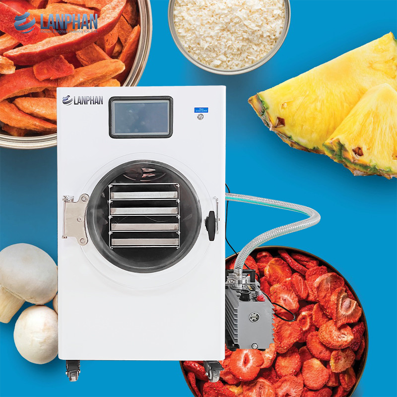Lanphan Home Strawberry White Vacuum Freeze drying Machine With Vacuum Pump Or No Oil Pump