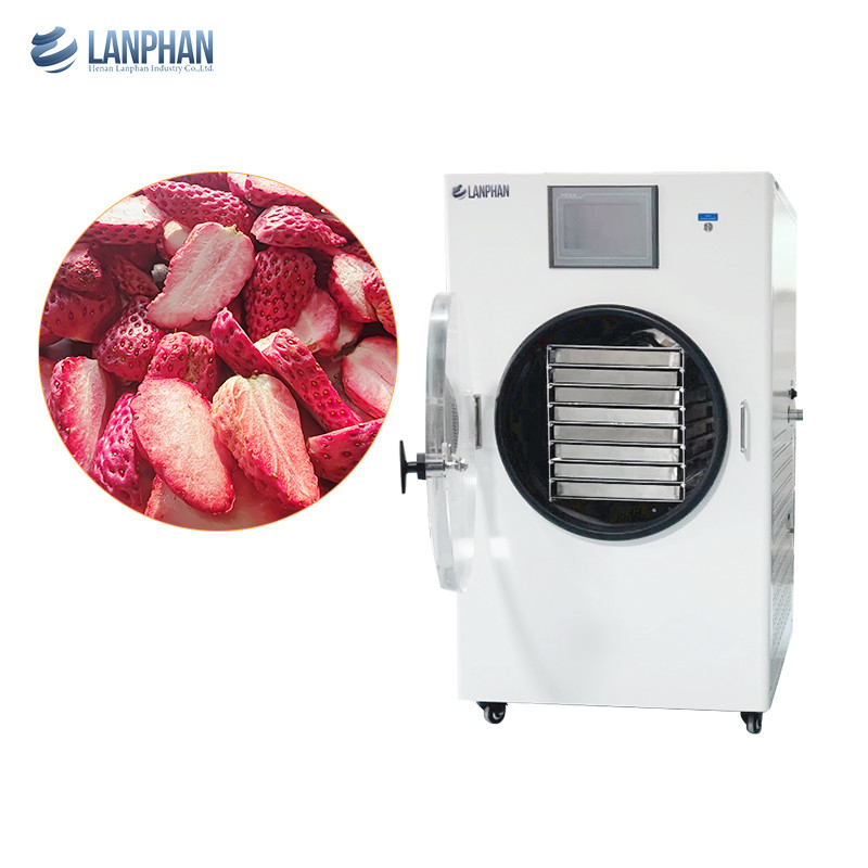 Food Liquid Flower Vacuum Freeze Drying Equipment Small Freeze Dryer For Home Use