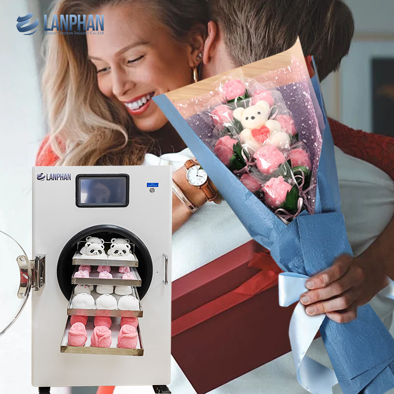 Commercial Food Freeze Dryer Pet Treat Yogurt Meat Freeze Dry Machine For Home