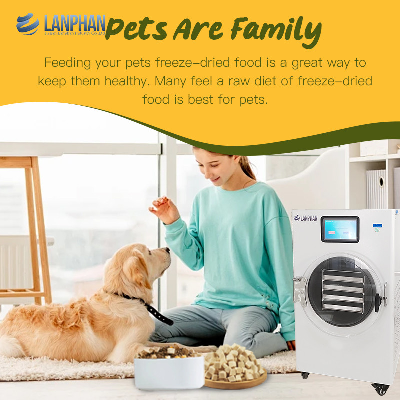 Food Freeze Drying Machine Commercial Freeze Dryer Vacuum Pump For Food Fruit Candy