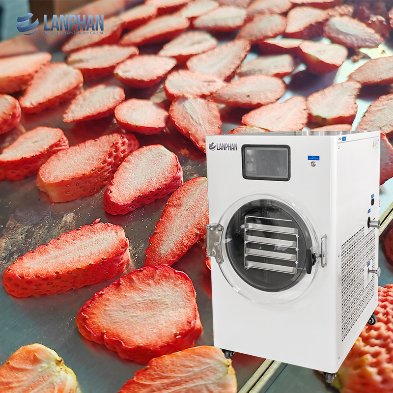 Food Freeze Drying Machine Commercial Freeze Dryer Vacuum Pump For Food Fruit Candy