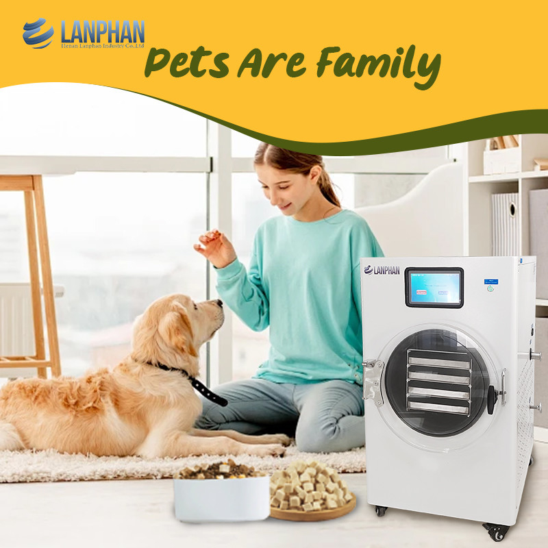 Vacuum Freezer Machine Home Freeze Dryers Drying Food Equipment With Oil Mist Filter