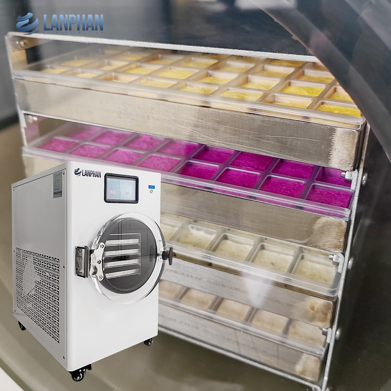 Vacuum Freezer Machine Home Freeze Dryers Drying Food Equipment With Oil Mist Filter