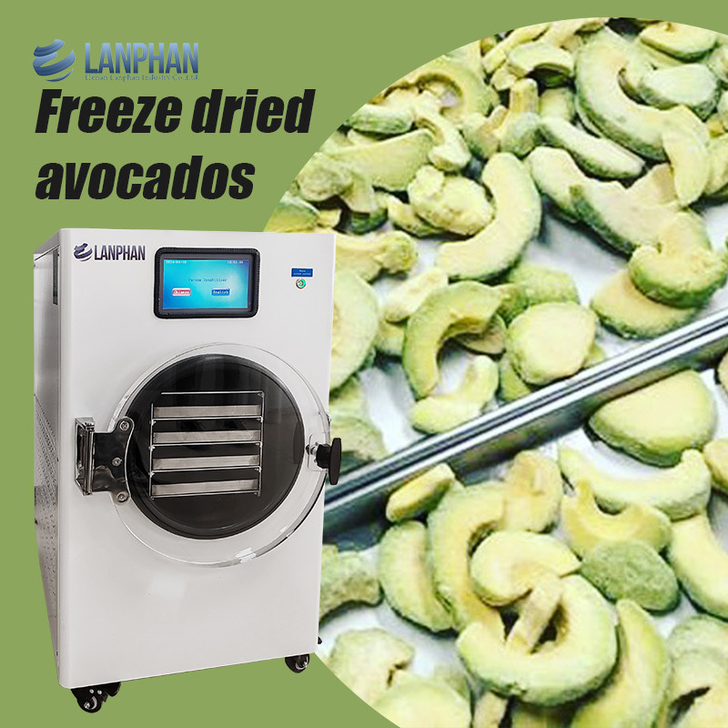 Avocado, Fig, Peach, Watermelon Stainless Steel Fruit Dryer Machine Vacuum Dryer For Food