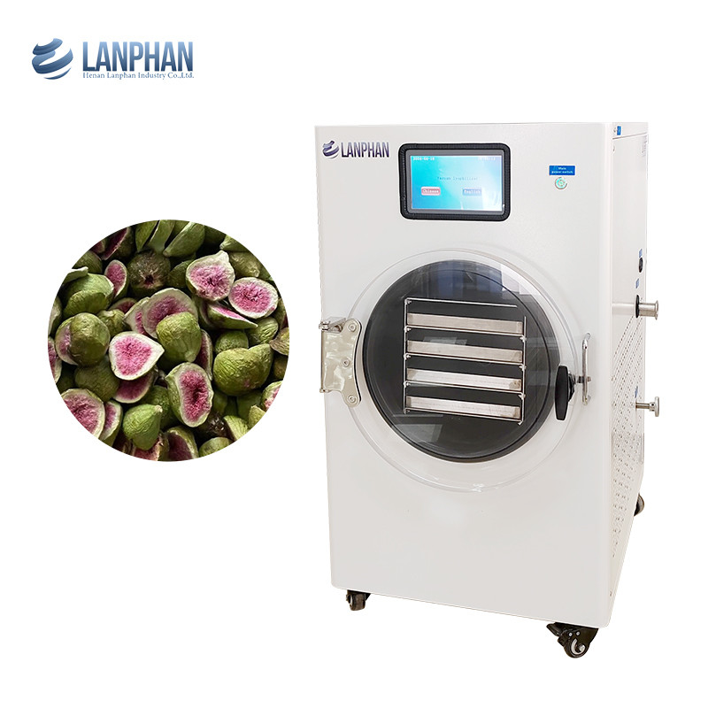 Avocado, Fig, Peach, Watermelon Stainless Steel Fruit Dryer Machine Vacuum Dryer For Food