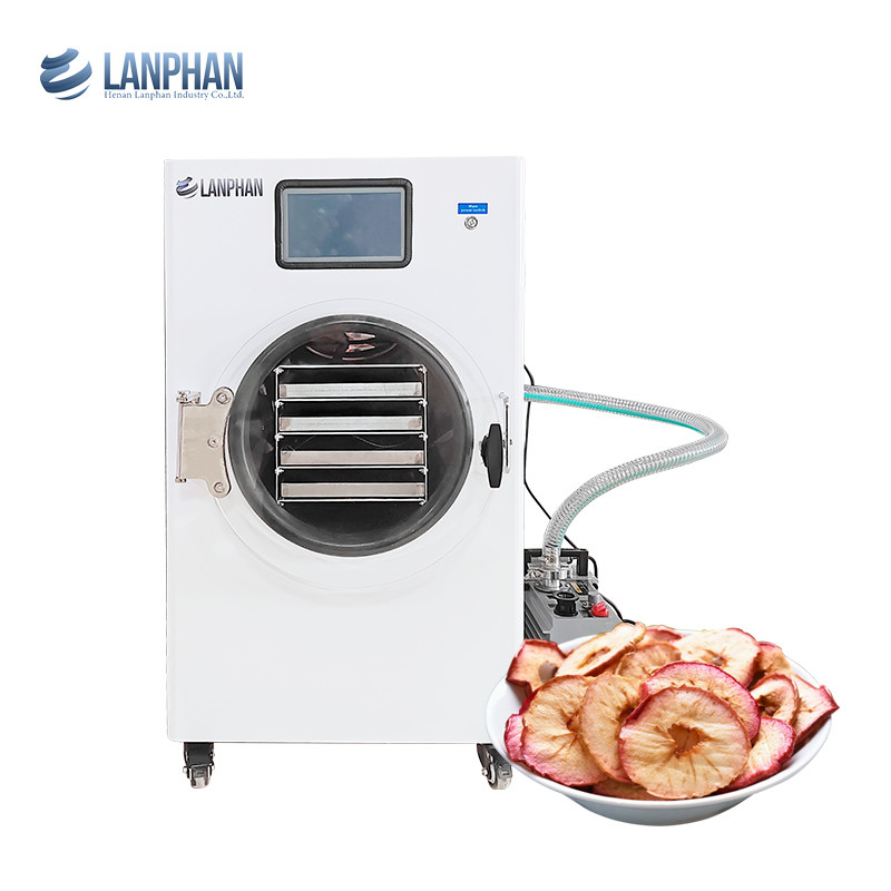 Avocado, Fig, Peach, Watermelon Stainless Steel Fruit Dryer Machine Vacuum Dryer For Food