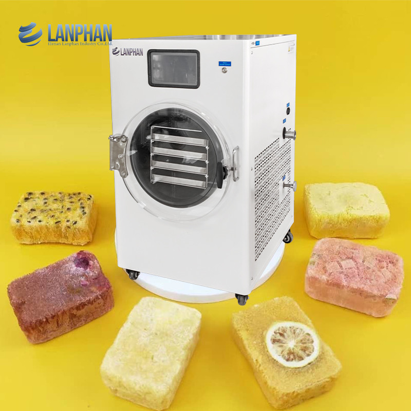 Home Freeze Dryer Freeze Dry Food Machine For Freeze-dried Instant Soup/tea Cubes