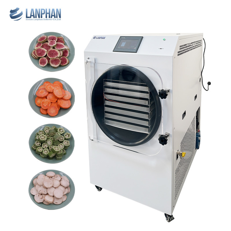 Home Food Freeze Dryer 7 Trays 2.5m2 Large Size Vacuum Home Freeze Dryer with Oil Pump