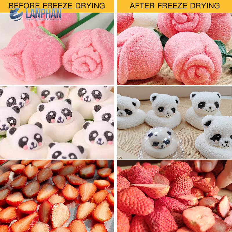 Lanphan 7-Tray Medium Home Freeze Dryer Black White Freeze Dry At Home for food fruit