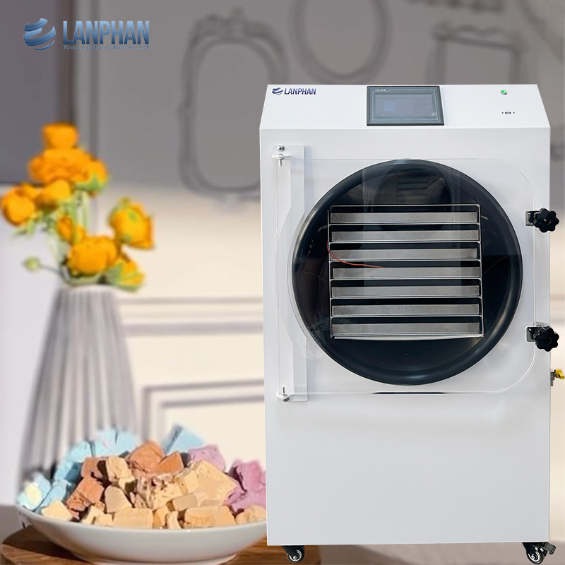 2.5M2 Food Vacuum Lyophilizer Freeze Drying Equipment Freeze Dry Machine For Home
