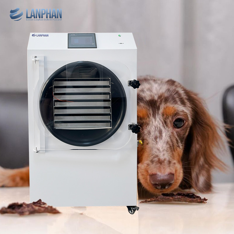 2.5M2 Food Vacuum Lyophilizer Freeze Drying Equipment Freeze Dry Machine For Home