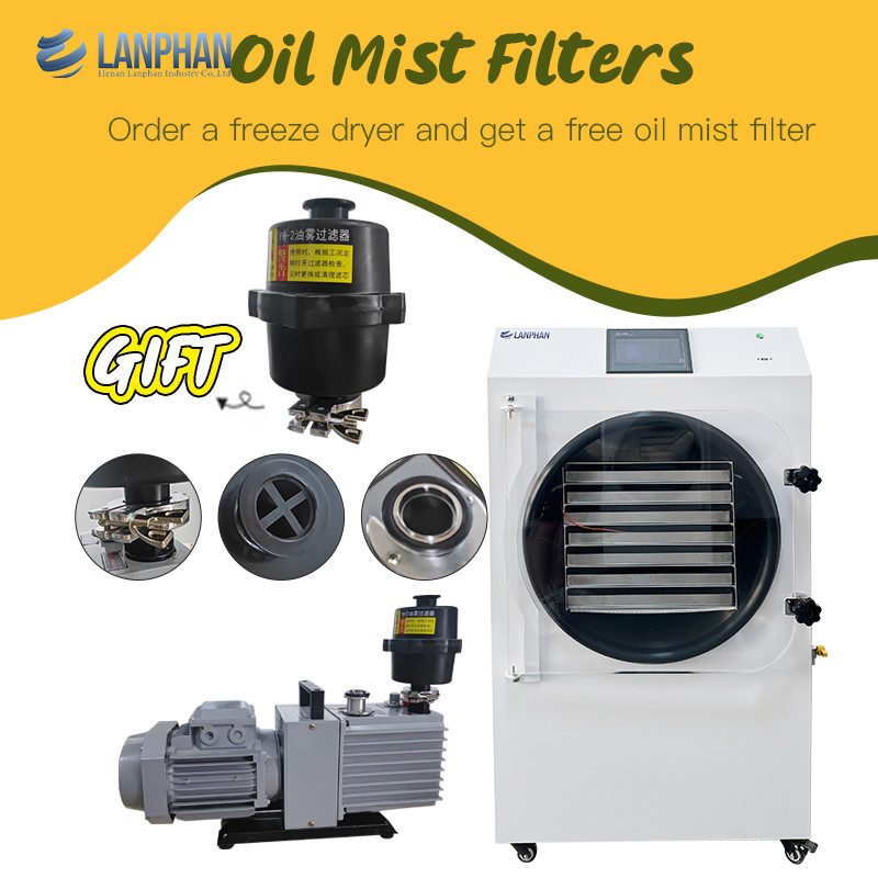 2.5M2 Food Vacuum Lyophilizer Freeze Drying Equipment Freeze Dry Machine For Home