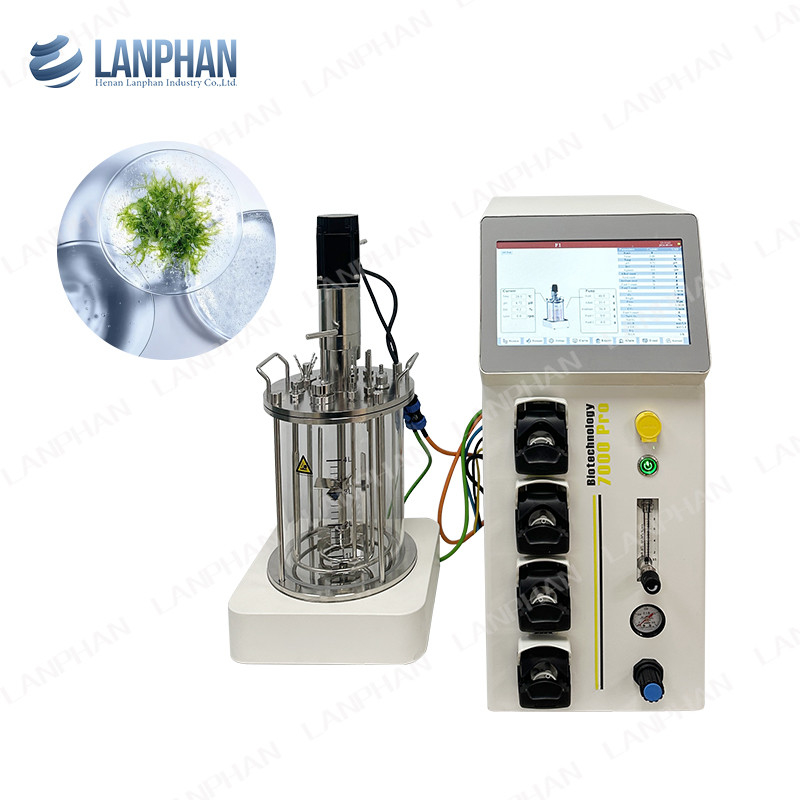 5l Animal Cell Culture Bioreactor Autoclavable Glass Bioreactor Microbial Fermenter