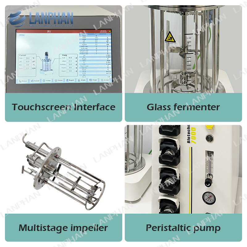 5l Animal Cell Culture Bioreactor Autoclavable Glass Bioreactor Microbial Fermenter