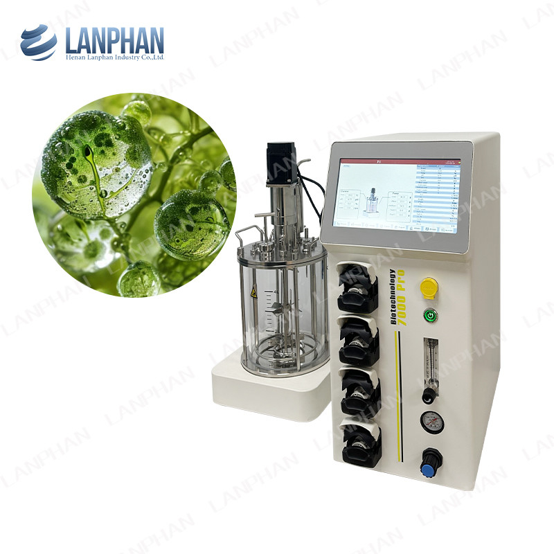 Yeast Spirulina Lab Glass Bioreactor Fermenter Bioreactor Animal Cell Culture Bioreactor 10L/5L