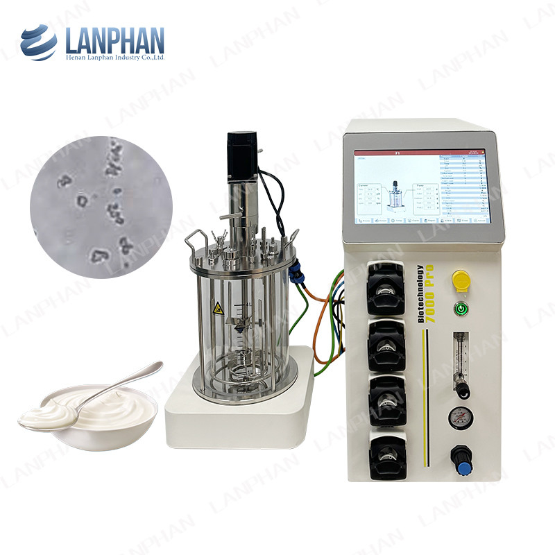 Mini Microbial / Bacteria Fermenter Bioreactor 1l Lab Fermenter Bioreactor For Algae
