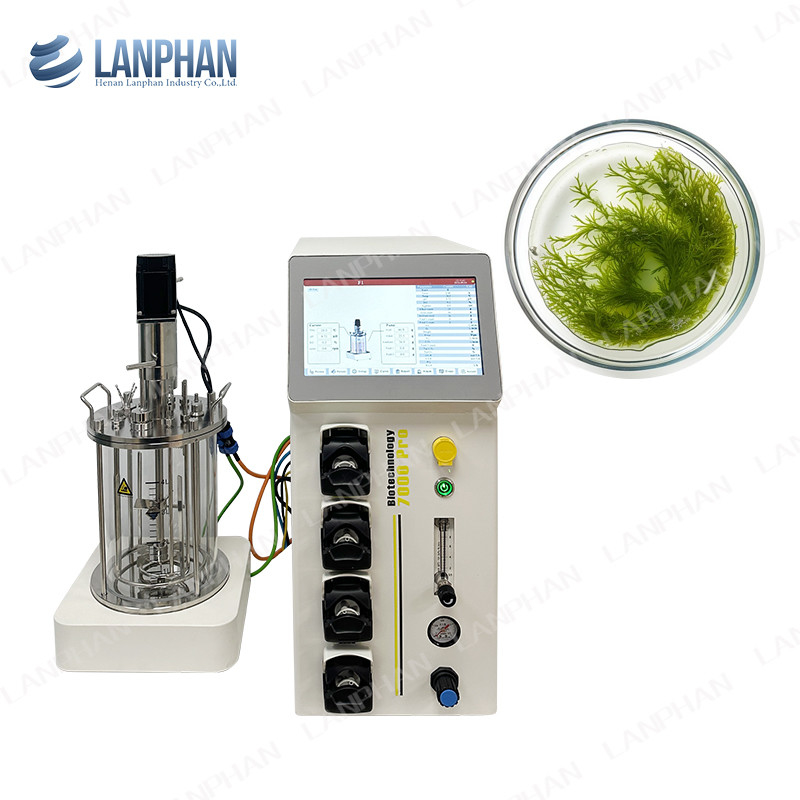 Mini Microbial / Bacteria Fermenter Bioreactor 1l Lab Fermenter Bioreactor For Algae