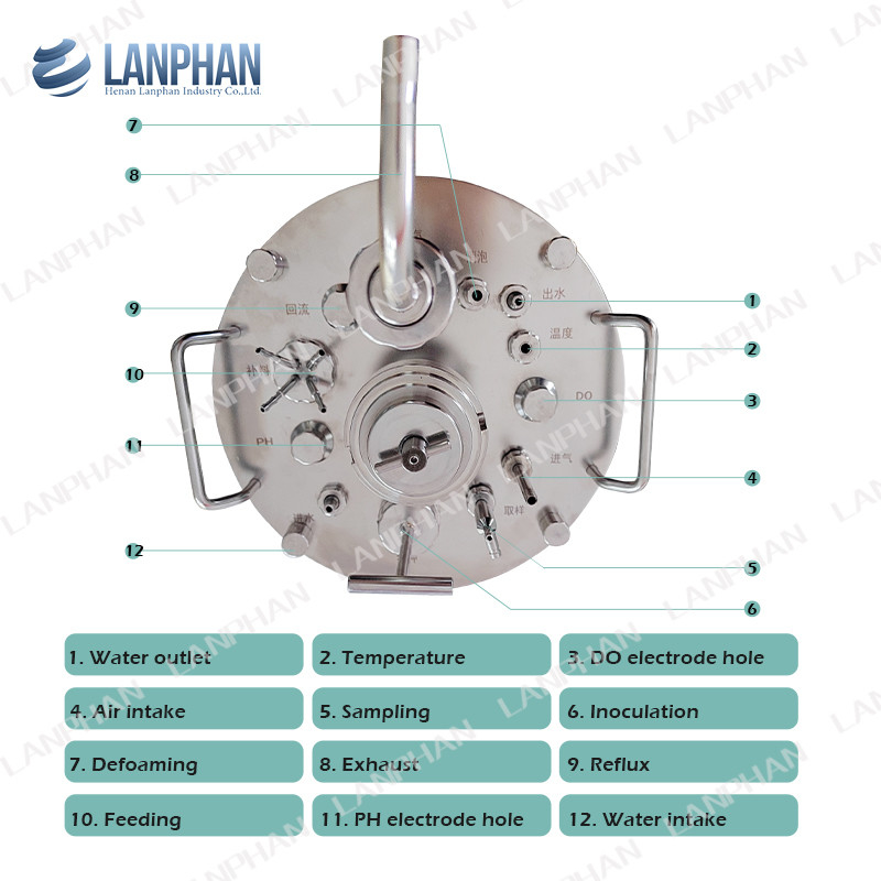 0.25L-15L Glass Bioreactor plant Bioreactor Laboratory Bioreactor Equipment For Cell Culture