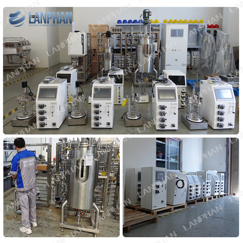 2l 5l 10l Automatic Spirulina Yeast Culture Glass Fermenter Bioreactor For Cell Culture