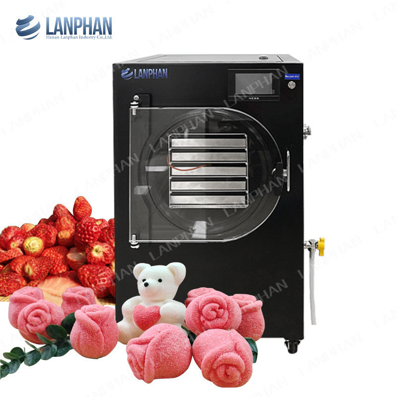 Fast Freeze Drying Machine Freeze Dryer Freezes Dried Candy Food Liquid Vacuum Freeze Drying Equipment