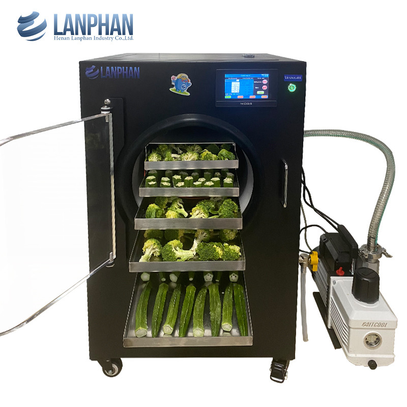 Fast Freeze Drying Machine Freeze Dryer Freezes Dried Candy Food Liquid Vacuum Freeze Drying Equipment