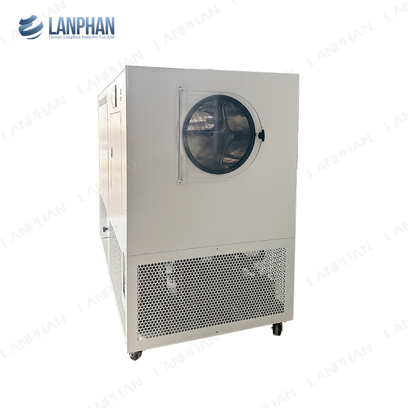 Lanphan Automatic Large Freeze Dryer 5m2 Freeze Dryer Machine For Meat Fruit Vegetables