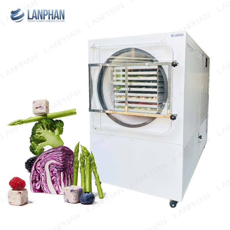 Lanphan Automatic Large Freeze Dryer 5m2 Freeze Dryer Machine For Meat Fruit Vegetables
