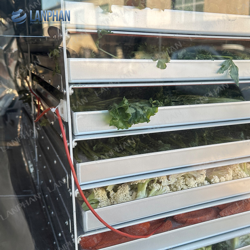 18 Trays Pharmaceutical Food Freeze Drying Machine Vacuum Freeze Dryer Machine For Vegetable