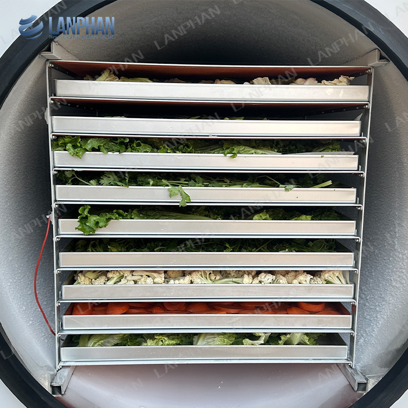 Lanphan Automatic Large Freeze Dryer 5m2 Freeze Dryer Machine For Meat Fruit Vegetables