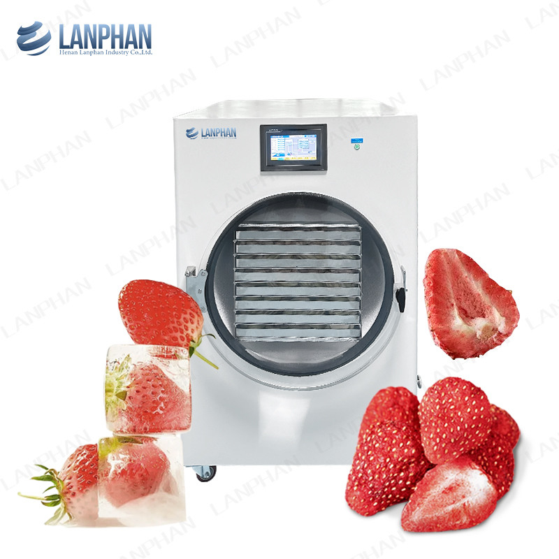 40kg Berries Fruit Vacuum Freeze Dryer Lyophilizer Candy Cucumber 8 Trays Freeze Dry Machine