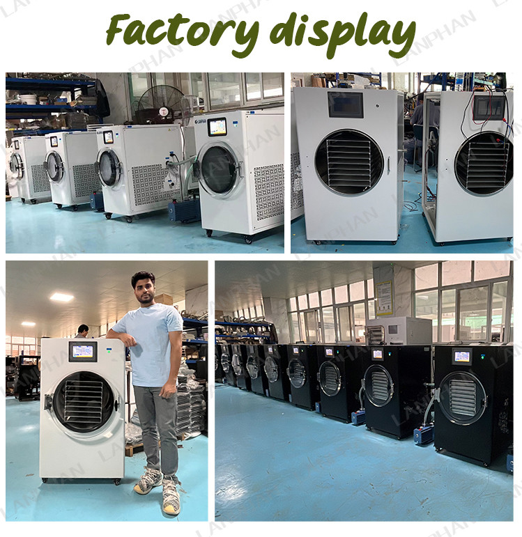 6kg 10kg 20kg Fruit Liofilizador Small Vacuum Freeze Drying Equipment Home Food Freeze Dryer