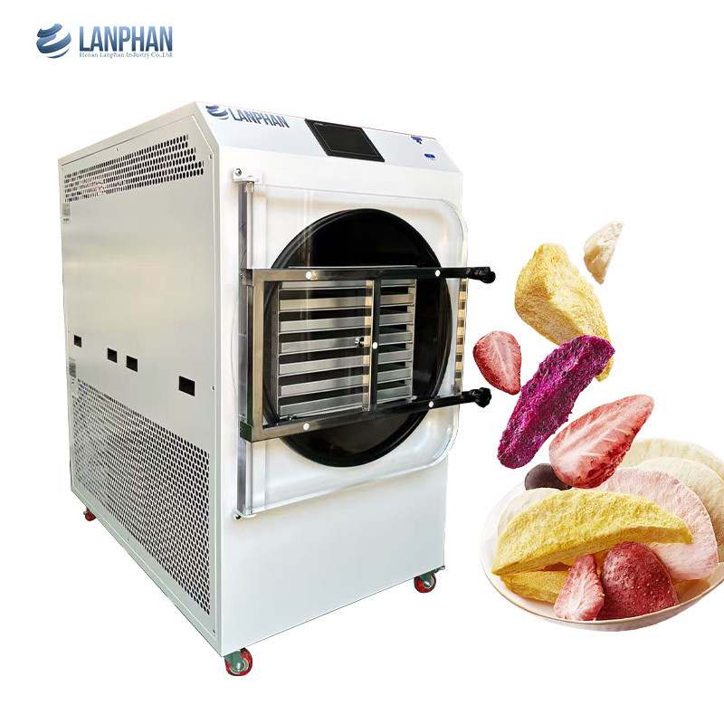 4m2 14 Large Trays Vacuum Food Freeze Dryer Factory Manufacturer for Fruits and Vegetables