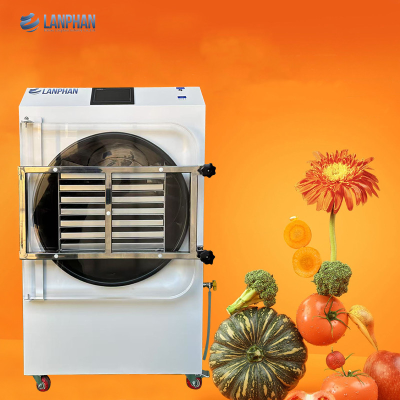 4m2 14 Large Trays Vacuum Food Freeze Dryer Factory Manufacturer for Fruits and Vegetables