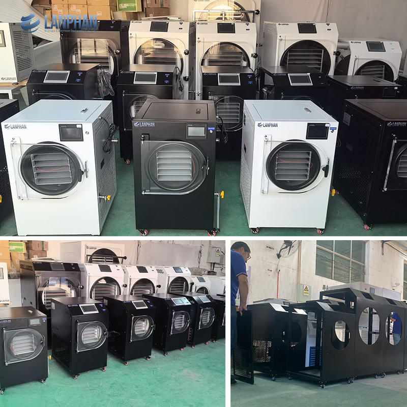 4m2 14 Large Trays Vacuum Food Freeze Dryer Factory Manufacturer for Fruits and Vegetables