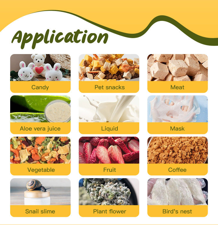 6kg 10kg 20kg Fruit Liofilizador Small Vacuum Freeze Drying Equipment Home Food Freeze Dryer