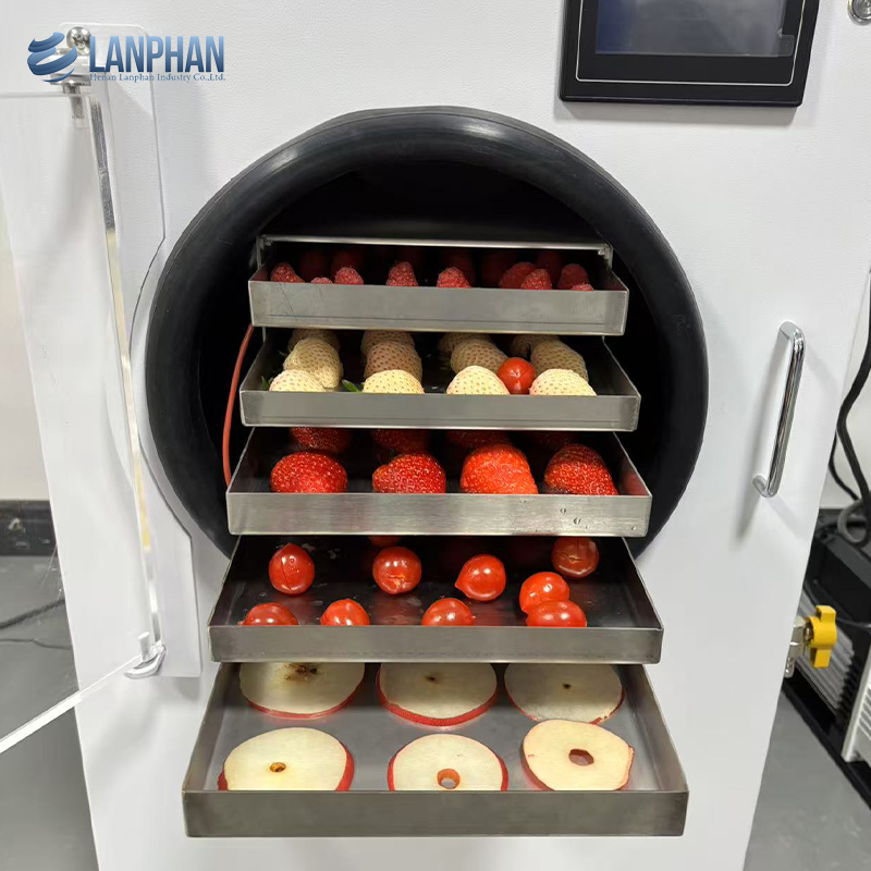 Factory Manufacturer 4-6Kg Small Lyophilizer Food  Vacuum Freeze Dryer Machine Home Freeze Dryer