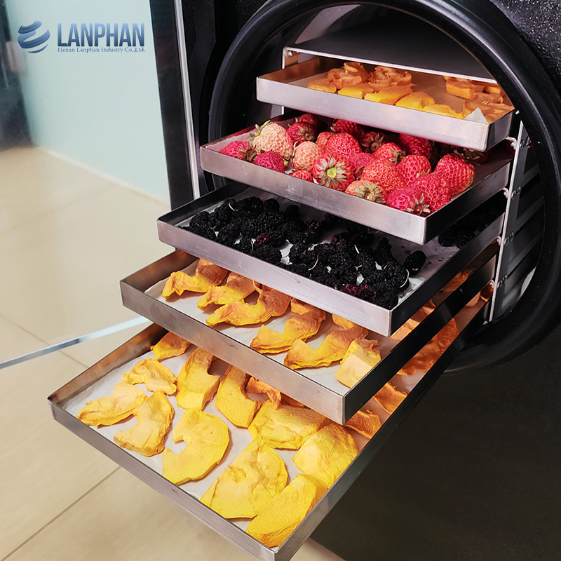 Vacuum Freeze Dryer Freeze Dryer Machine for Meat Pet Food Freeze Fruit Dryer