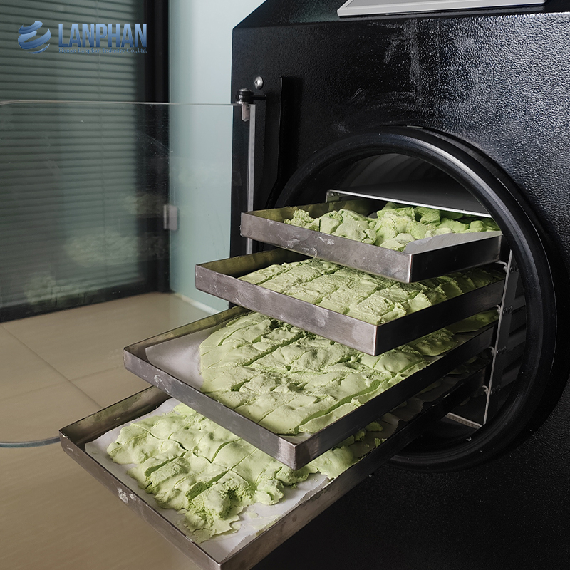 Automatic Small Home Freeze Dryer Machine for Fruit Food Meat Vegetable with Vacuum Pump