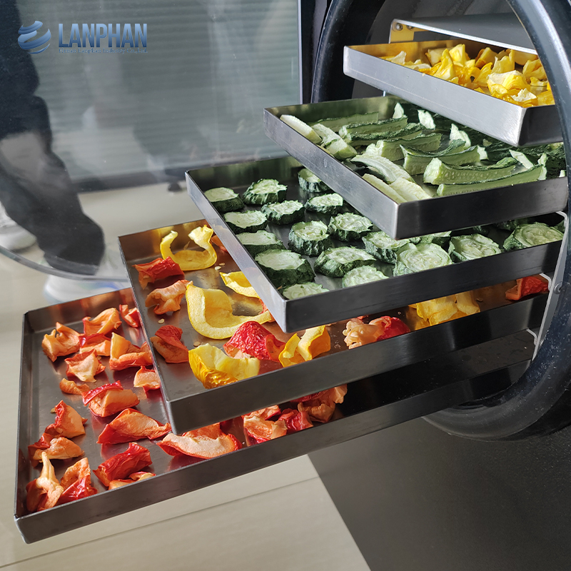 Factory Manufacturer 4-6Kg Small Lyophilizer Food  Vacuum Freeze Dryer Machine Home Freeze Dryer